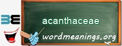 WordMeaning blackboard for acanthaceae